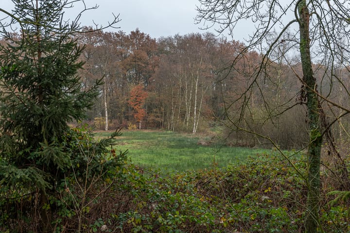 Foto 39 van Langakkers 15