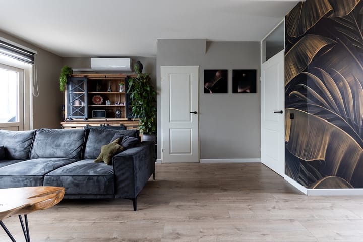 Photo 9 of Munster 62