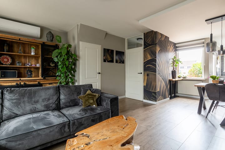 Photo 13 of Munster 62