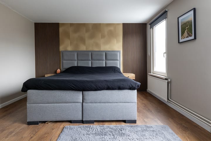 Photo 24 of Munster 62