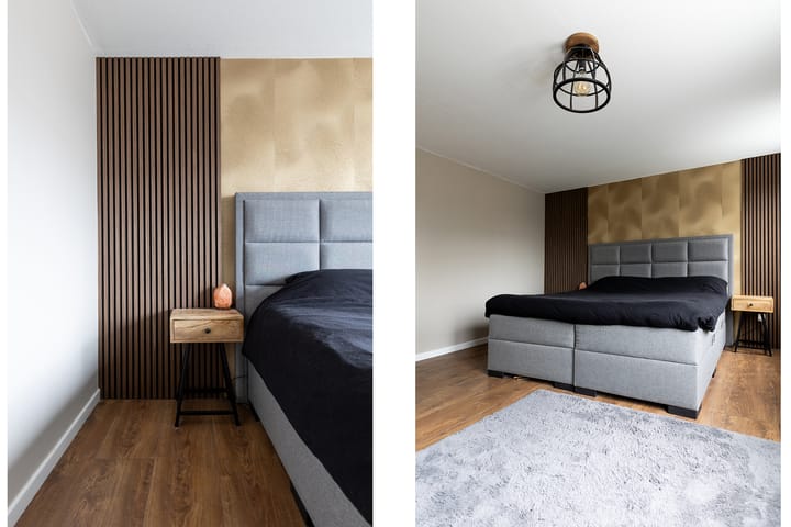 Photo 20 of Munster 62