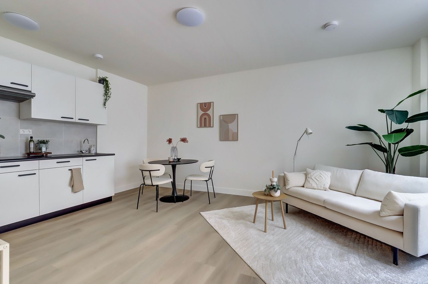 Foto 4 van Pauwstraat 5