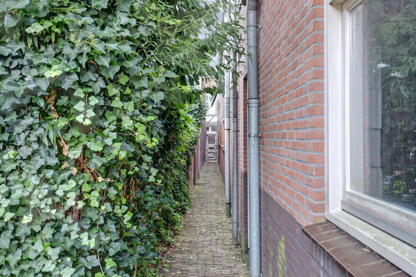 Photo 35 of Loeff Berchmakerstraat 20-C