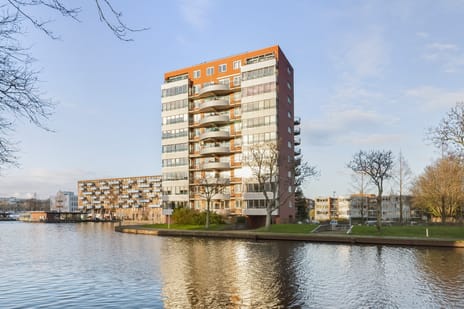 Cornelis van Rijplantsoen thumbnail