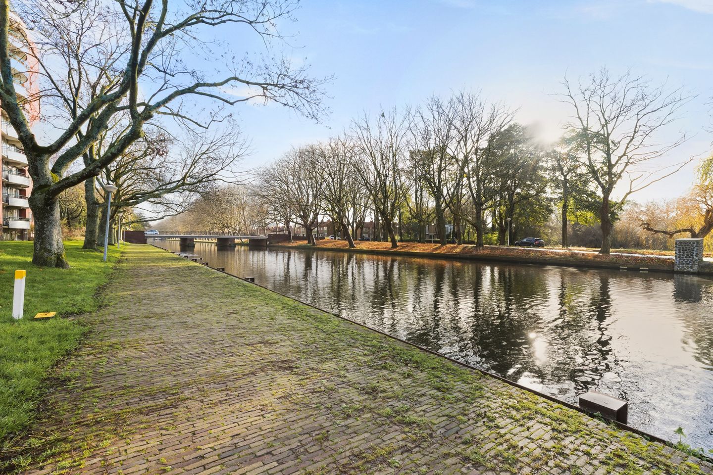 Photo 50 of Cornelis van Rijplantsoen 57