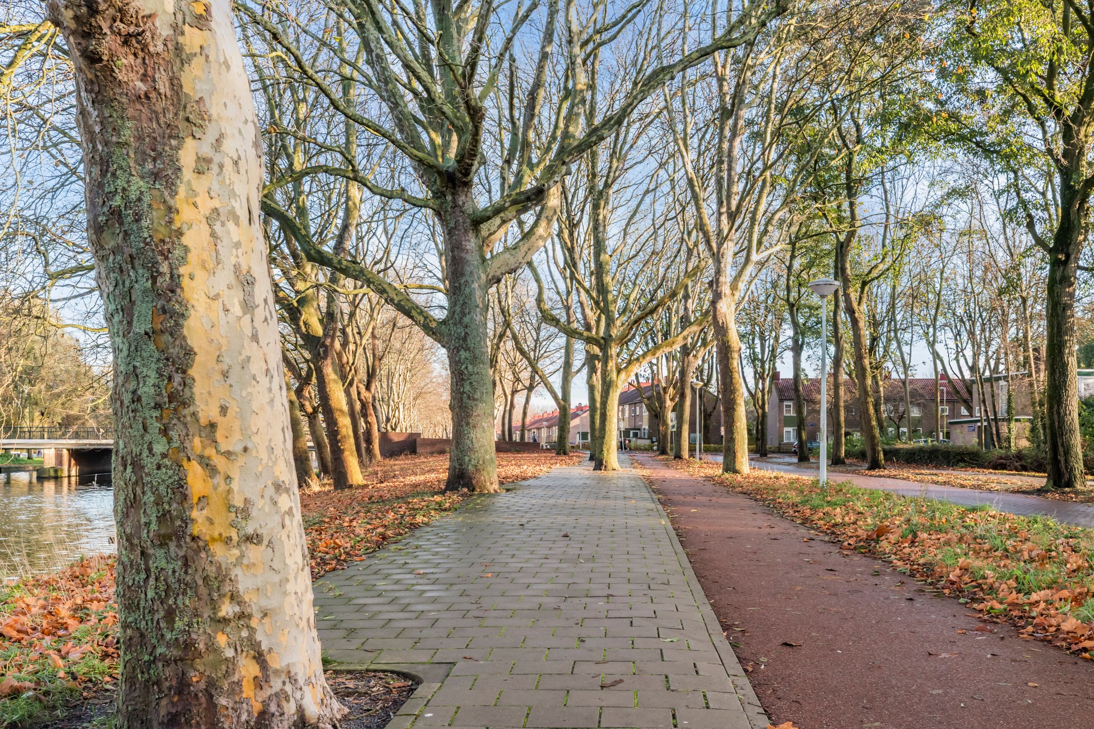 Photo 51 of Cornelis van Rijplantsoen 57