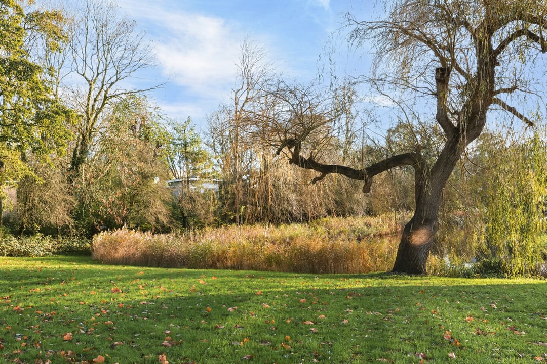 Photo 52 of Cornelis van Rijplantsoen 57