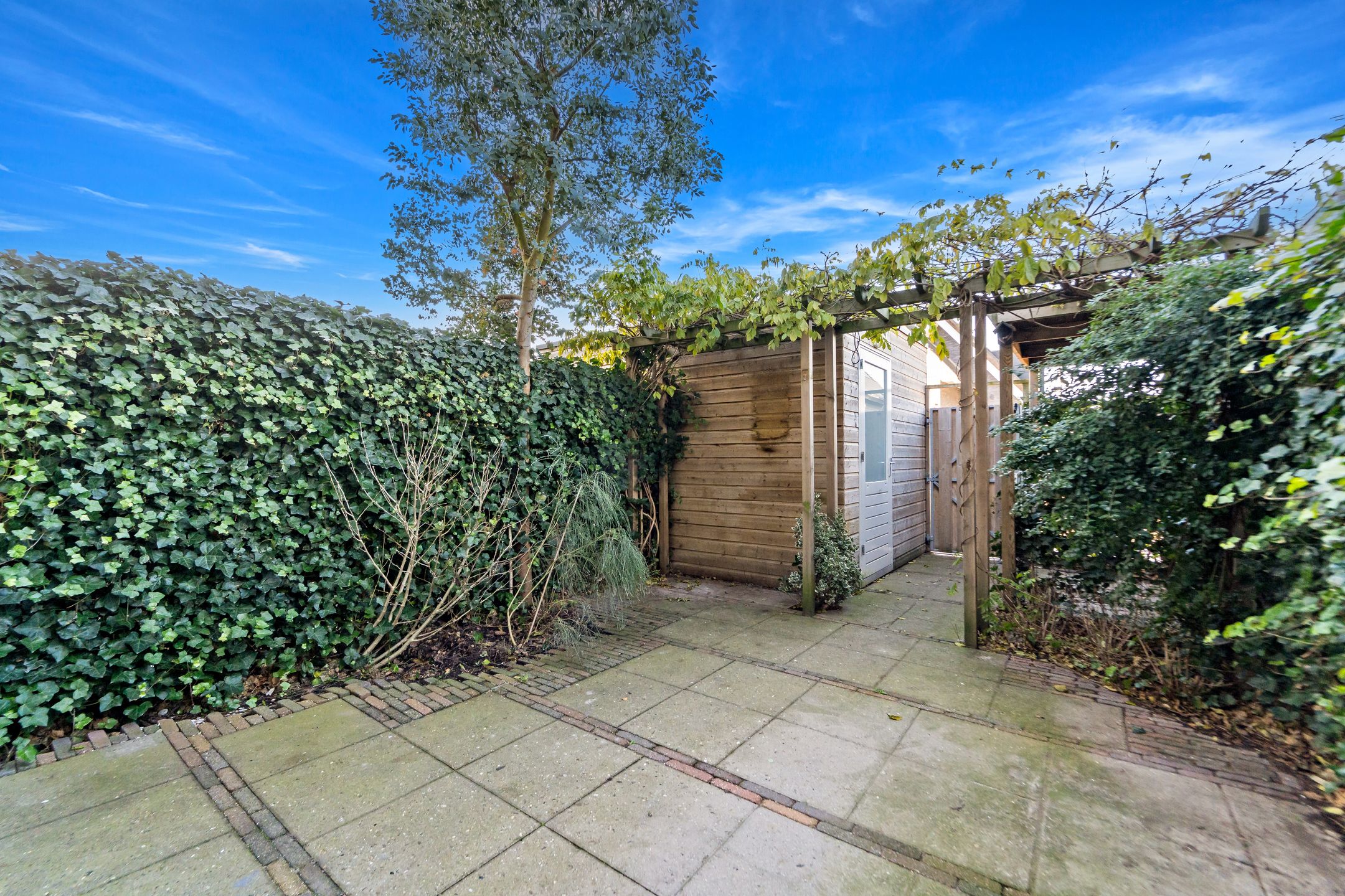 Foto 12 van Dijkshoornseweg 225