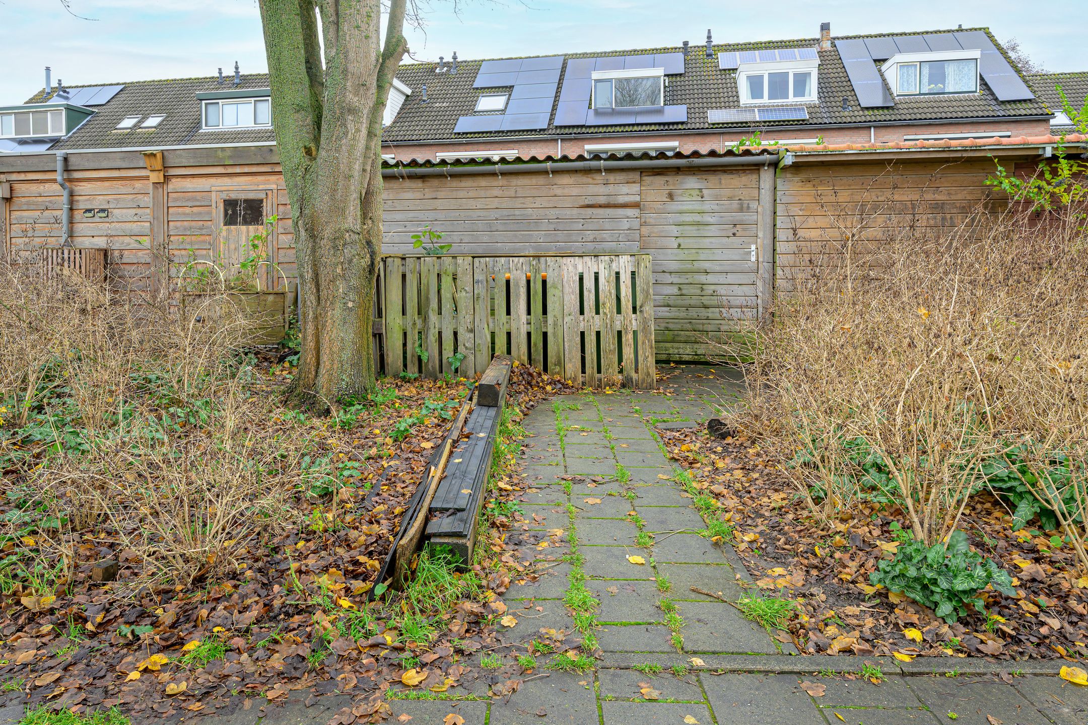 Photo 24 of Merwede 44