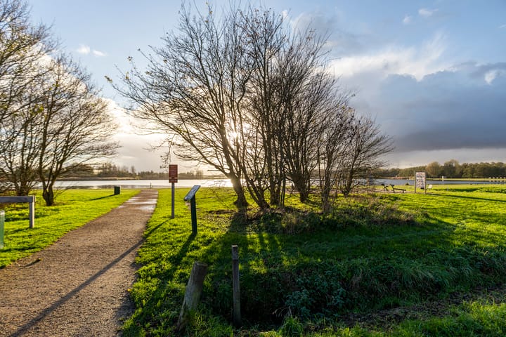 Photo 38 of Thorbeckelaan 77