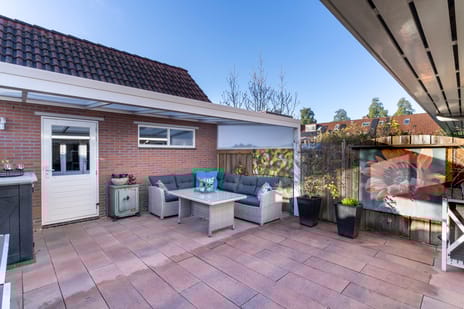 Ringmus 1 tertiary image