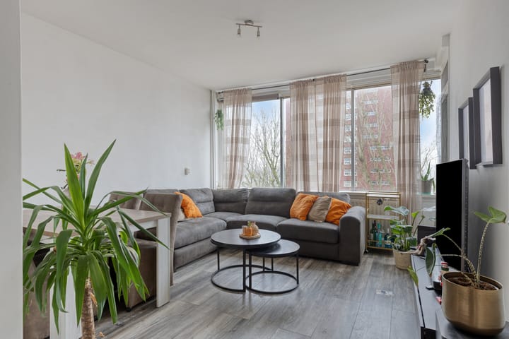 Foto 5 van Plein 1953 145