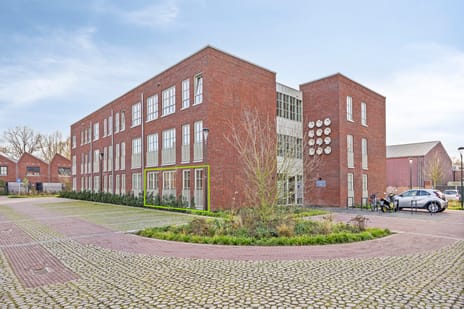 undefined main image