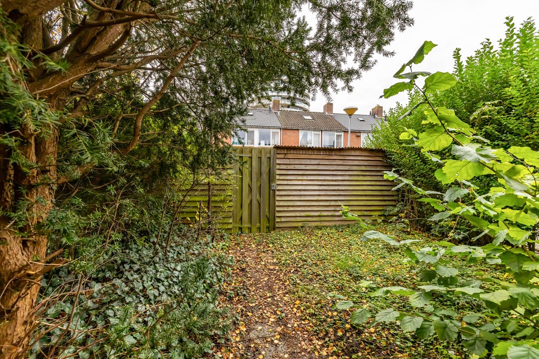 Foto 2 van Mispellaan 35