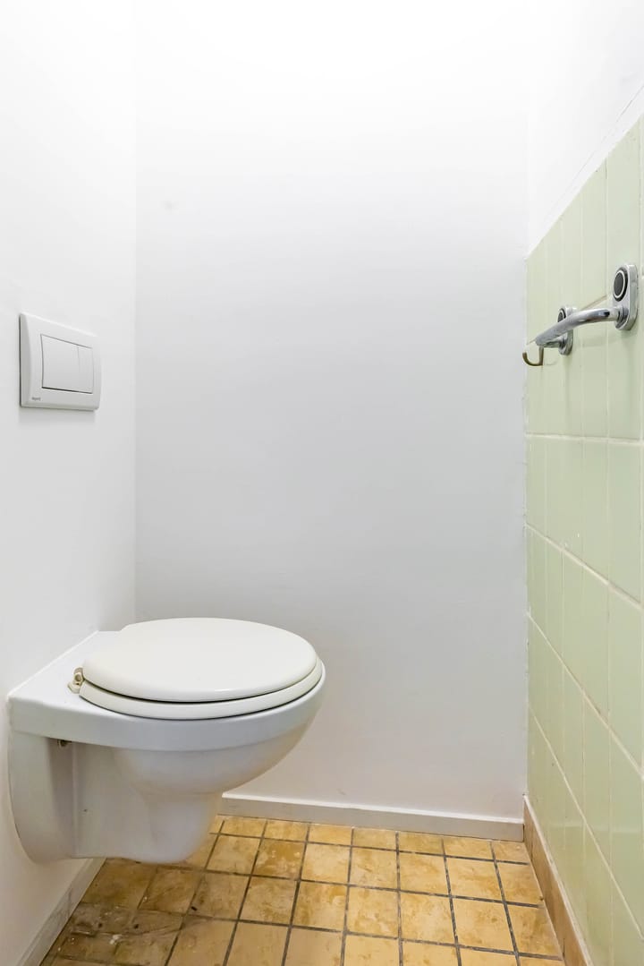 Foto 11 van Mispellaan 35