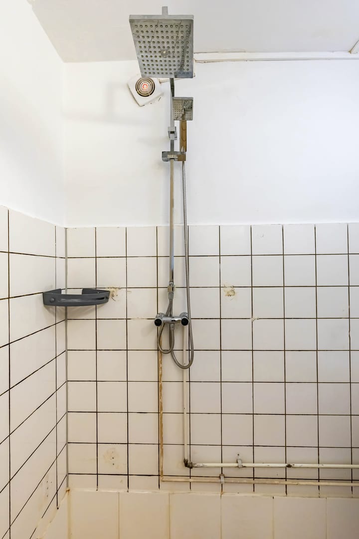 Foto 32 van Mispellaan 35