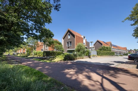 Honingbij 5 secondary image