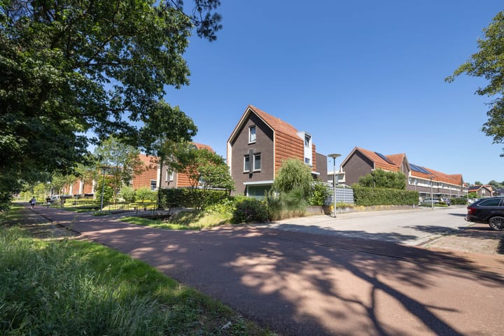 Photo 2 of Honingbij 5