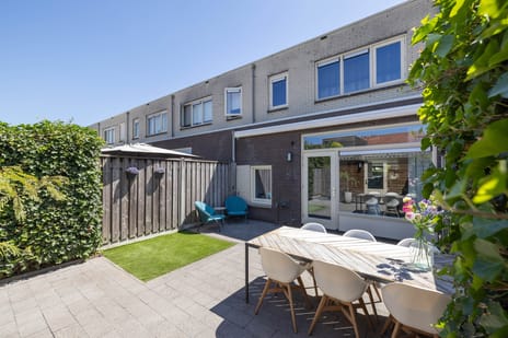 Honingbij 5 tertiary image