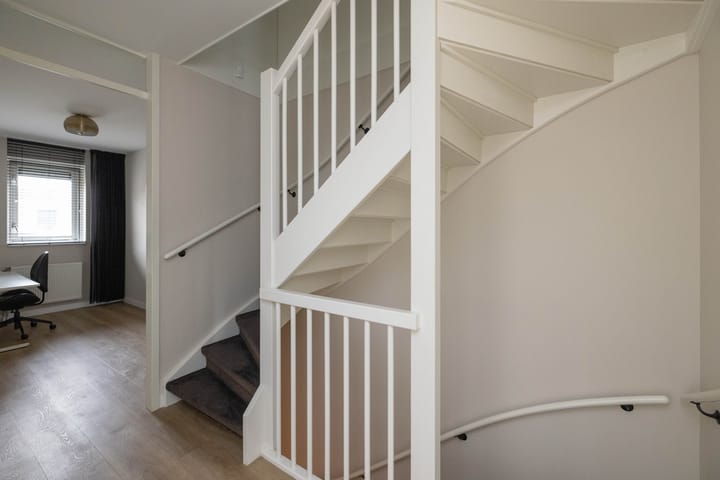 Photo 16 of Honingbij 5