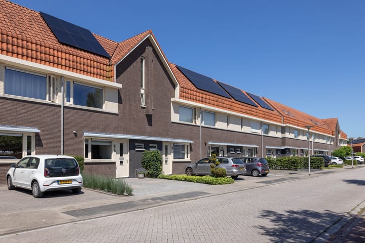 Photo 35 of Honingbij 5