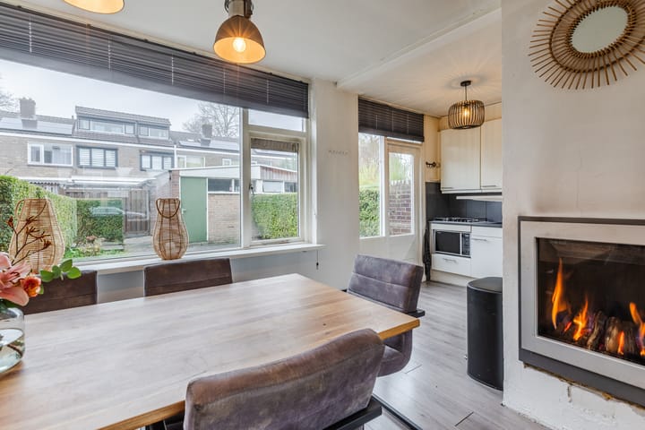 Photo 16 of Dirk Bavolaan 36