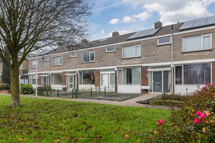 Photo 33 of Dirk Bavolaan 36