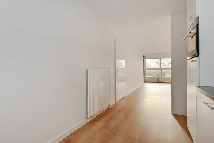 Foto 18 van Cornelis de Wittlaan 174