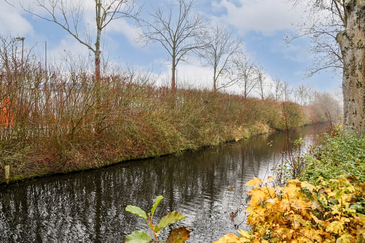 Foto 31 van Dijkgraaf Grootweg 6