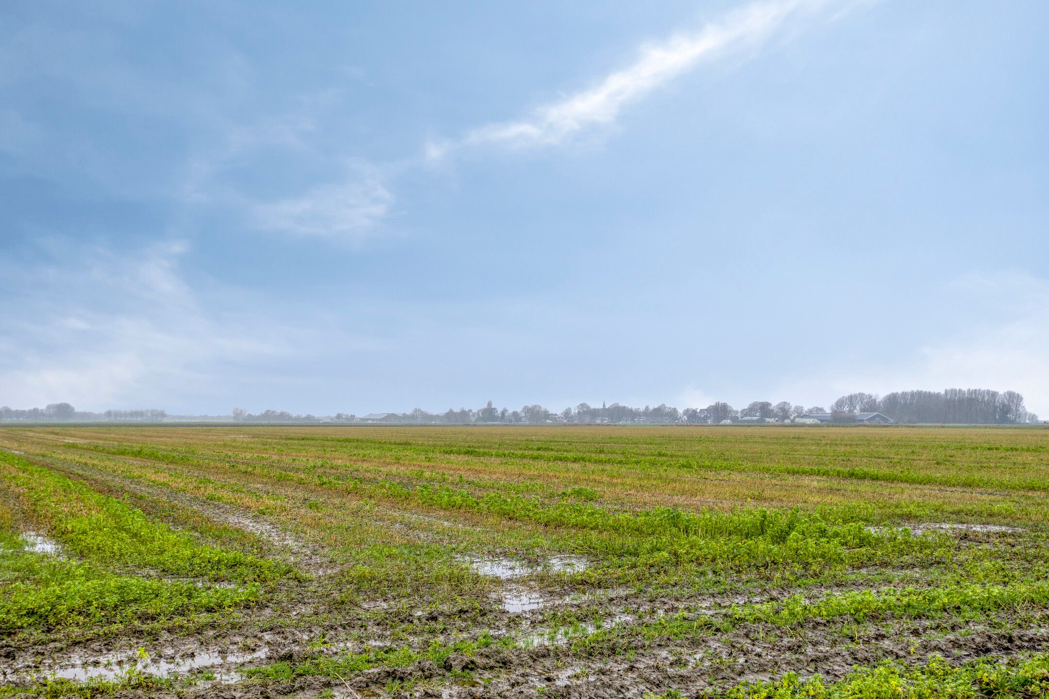 Photo 42 of Rijksstraatweg 9