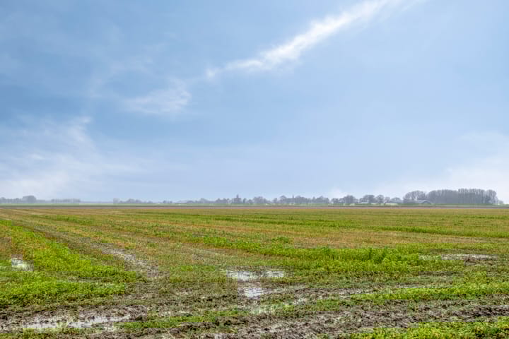 Photo 42 of Rijksstraatweg 9