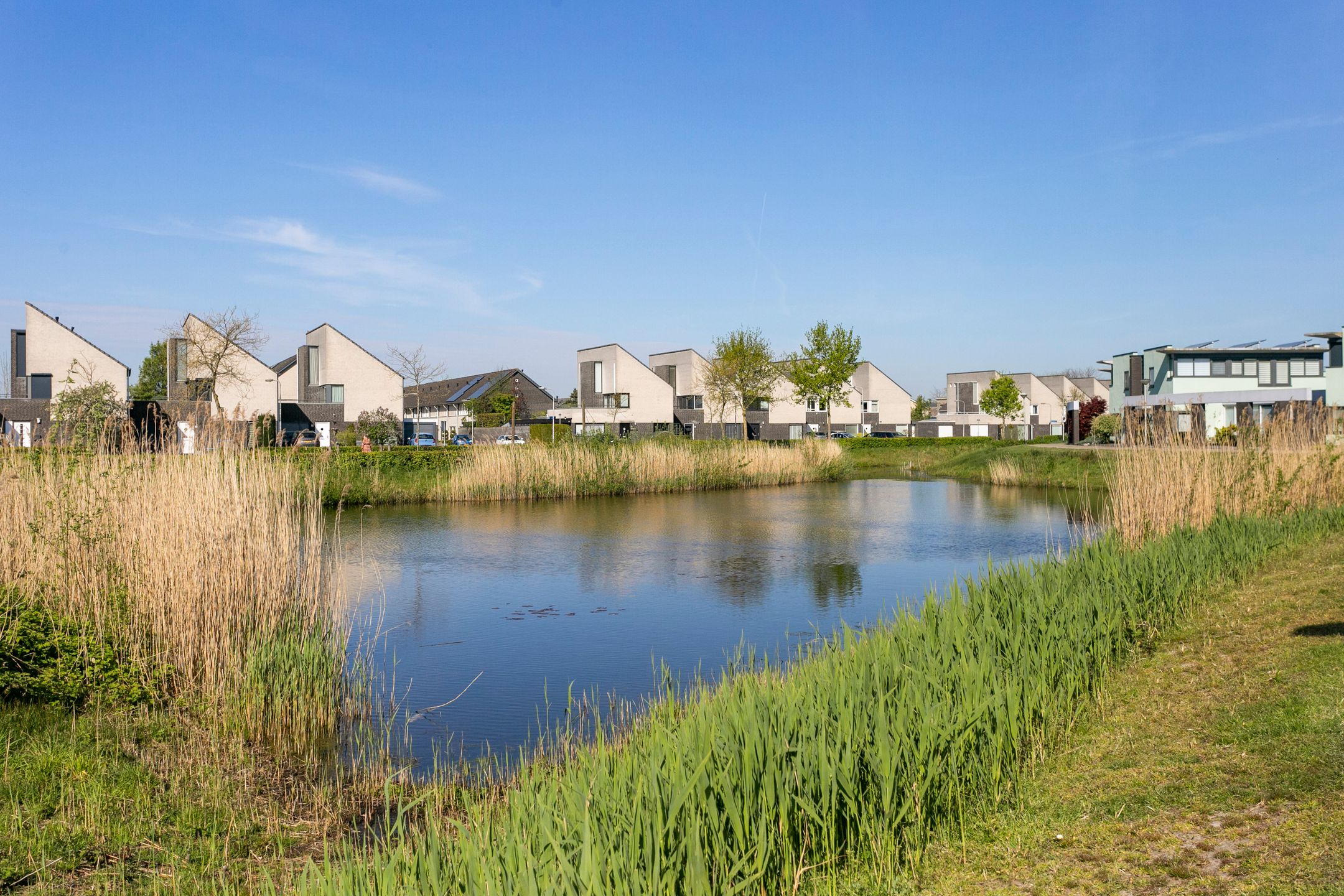 Photo 30 of Munnekeburenstraat 120