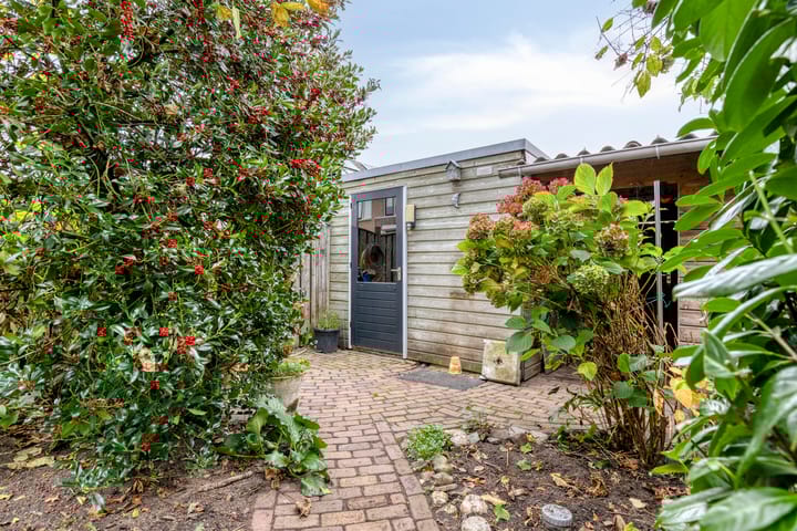 Photo 30 of de Esdoorn 6