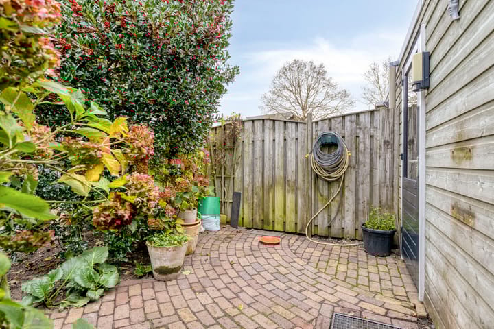 Photo 31 of de Esdoorn 6