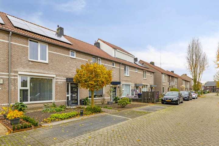 Photo 36 of de Esdoorn 6