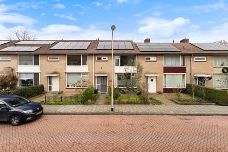 undefined main image