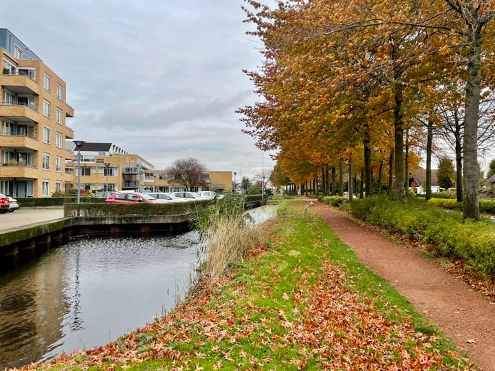 Foto 2 van Boezemlaan 82