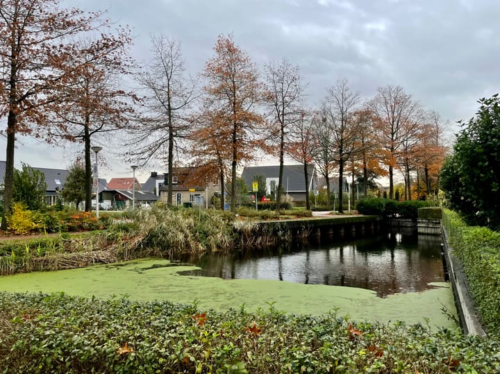 Foto 33 van Boezemlaan 82