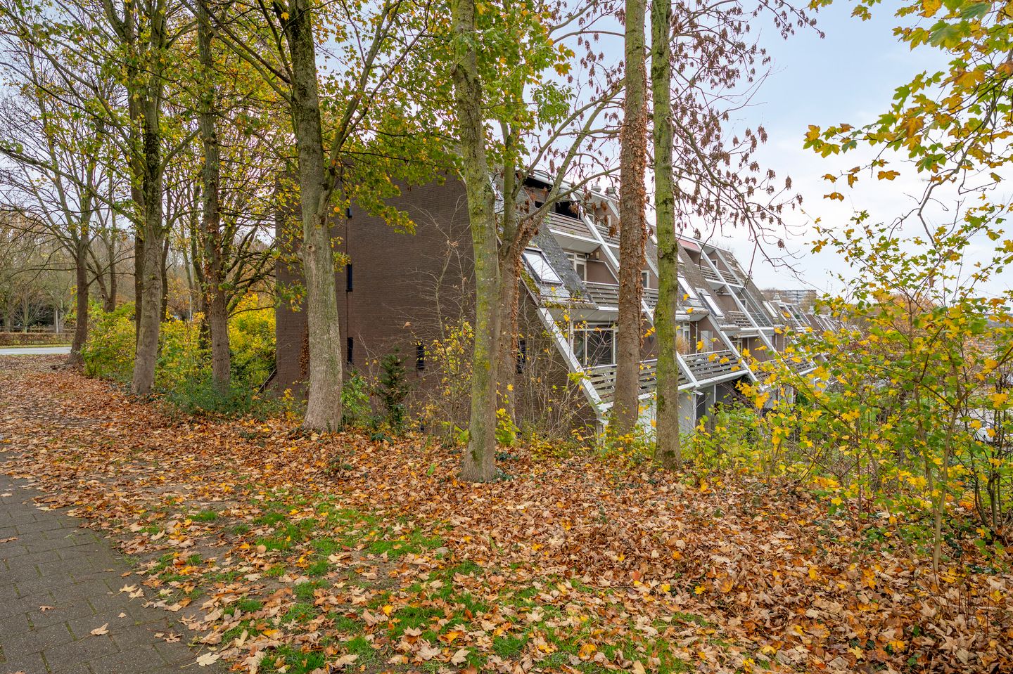 Foto 10 van Schachtstraat 121