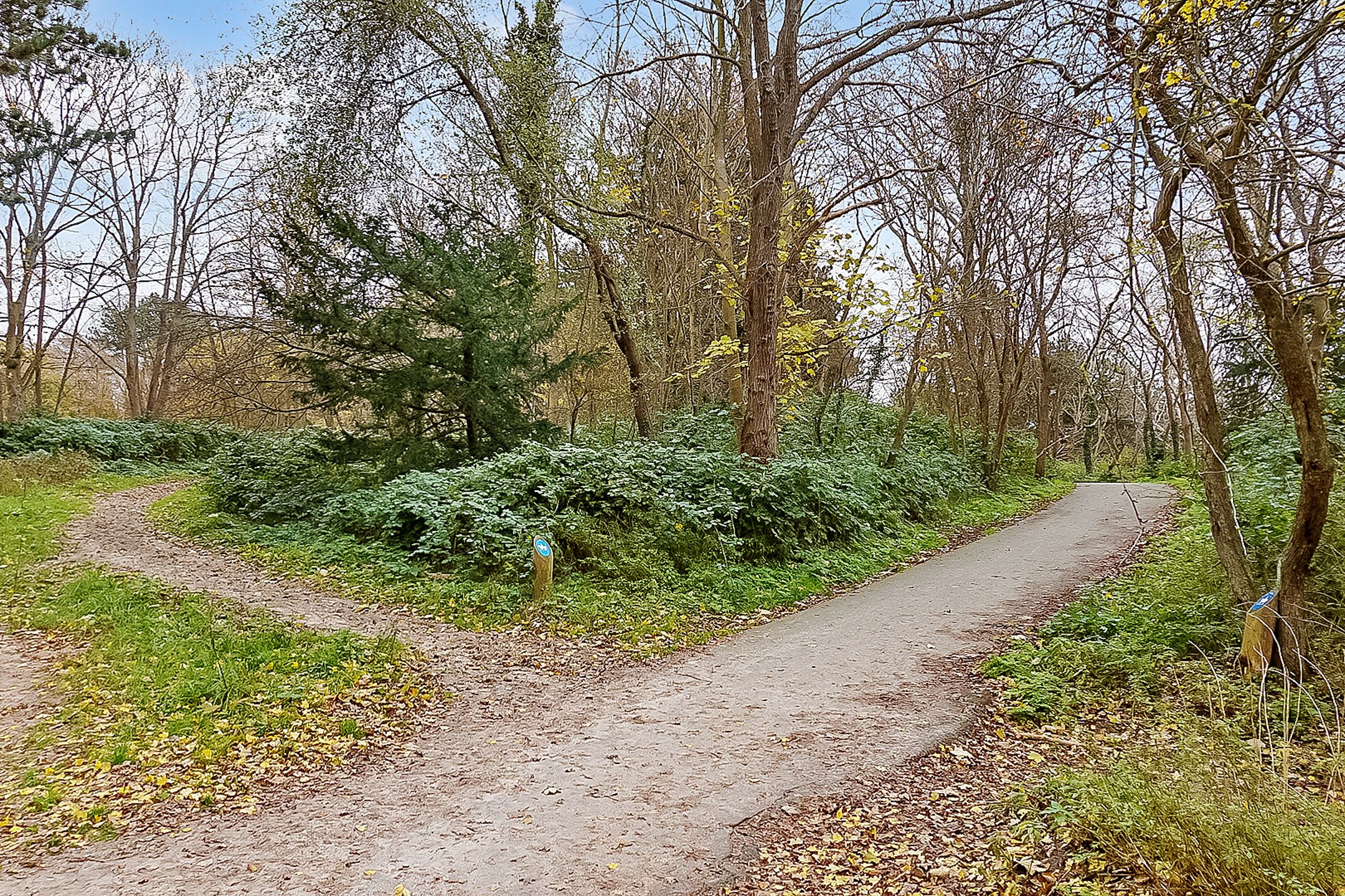 Foto 36 van Plesmanweg 499