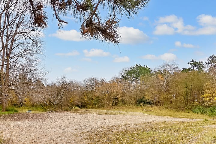 Foto 37 van Plesmanweg 499