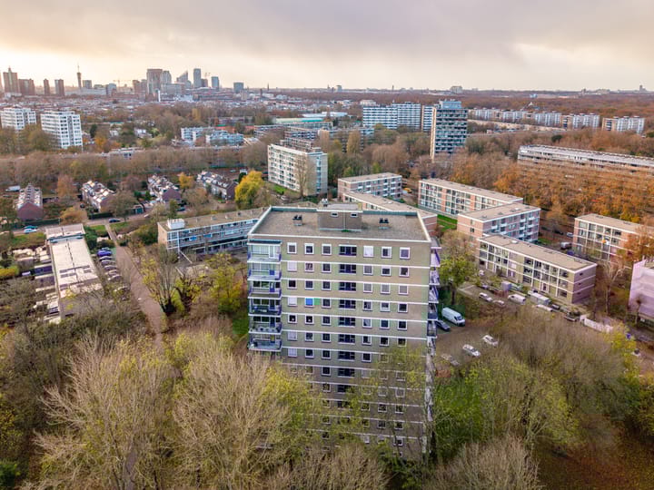 Foto 4 van Denenburg 103