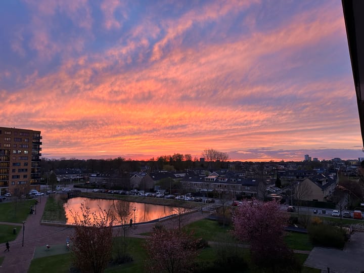 Foto 25 van Roekstraat 93