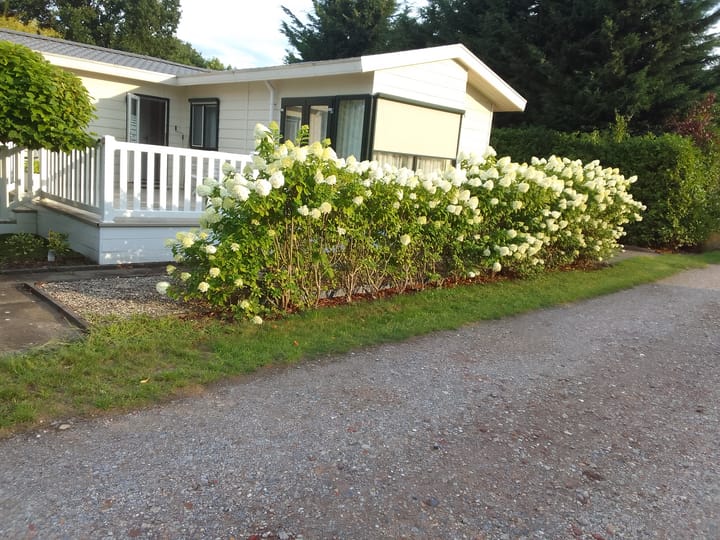 Foto 1 van Haspelstraat 19