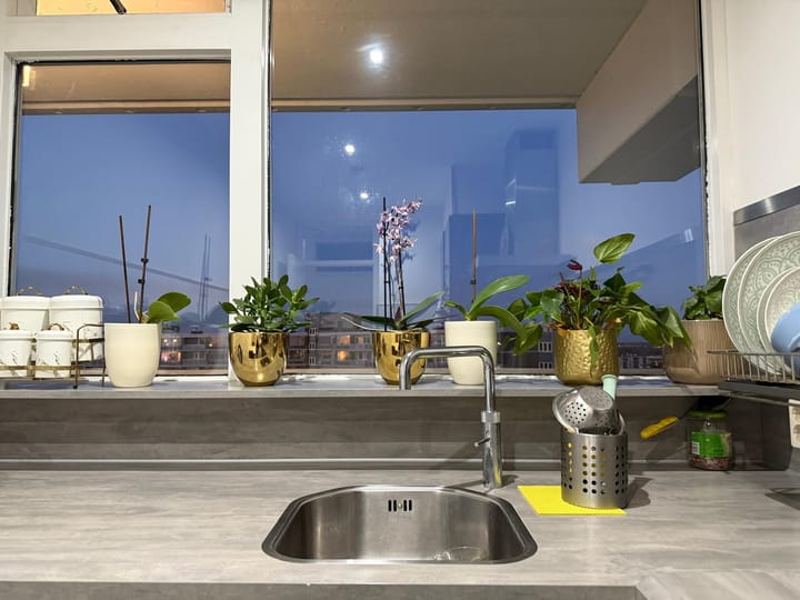 Photo 13 of Chopinplein 274