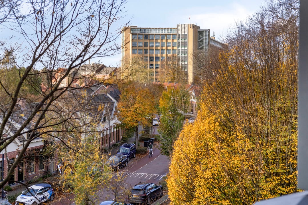 Foto 31 van Anton Philipslaan 164