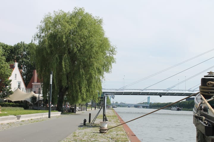 Foto 29 van Joseph Haydnlaan 12-1