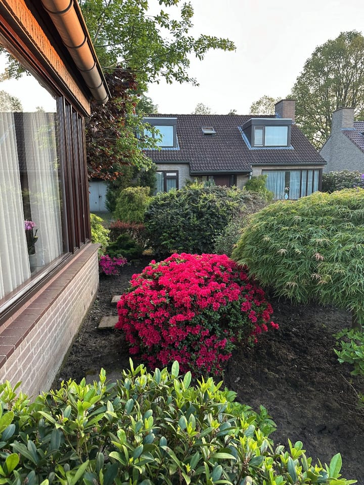 Foto 41 van Dom Paul Bellotweg 10