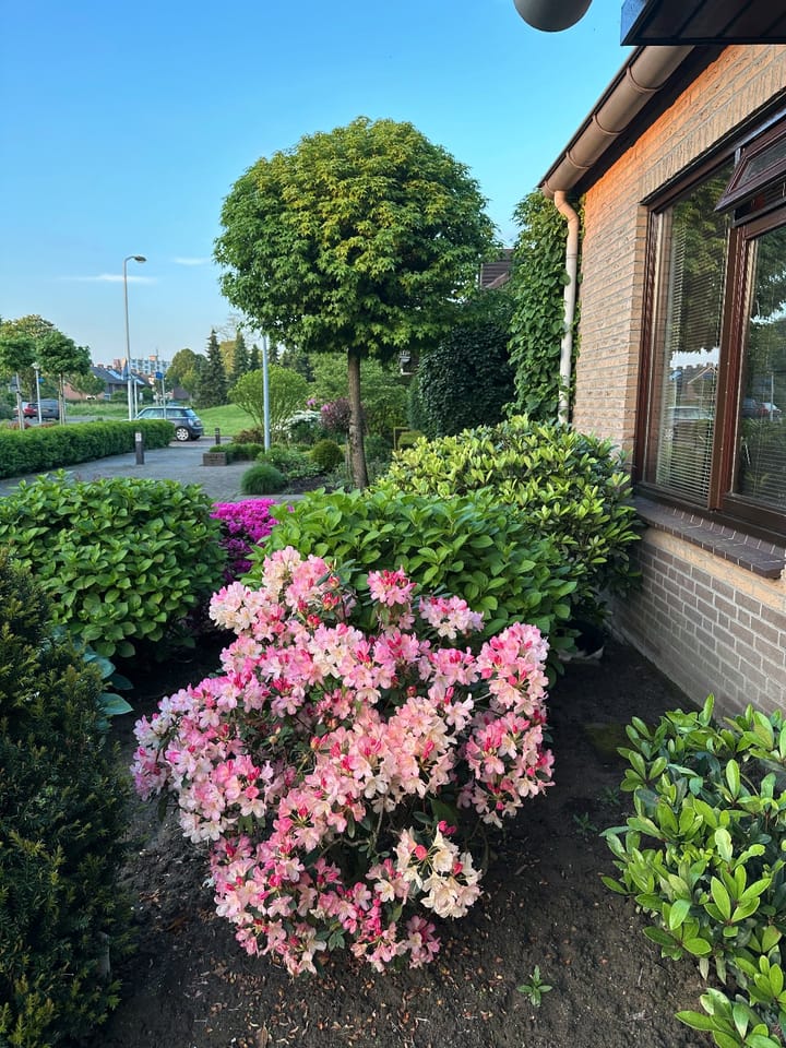 Foto 42 van Dom Paul Bellotweg 10