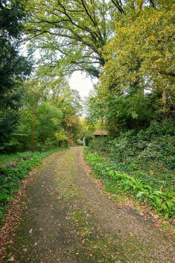 Photo 46 of Middenlaan 52